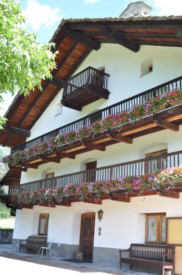 Flora Alpina Apartments-residenza Verdebjo * Gressoney-Saint-Jean